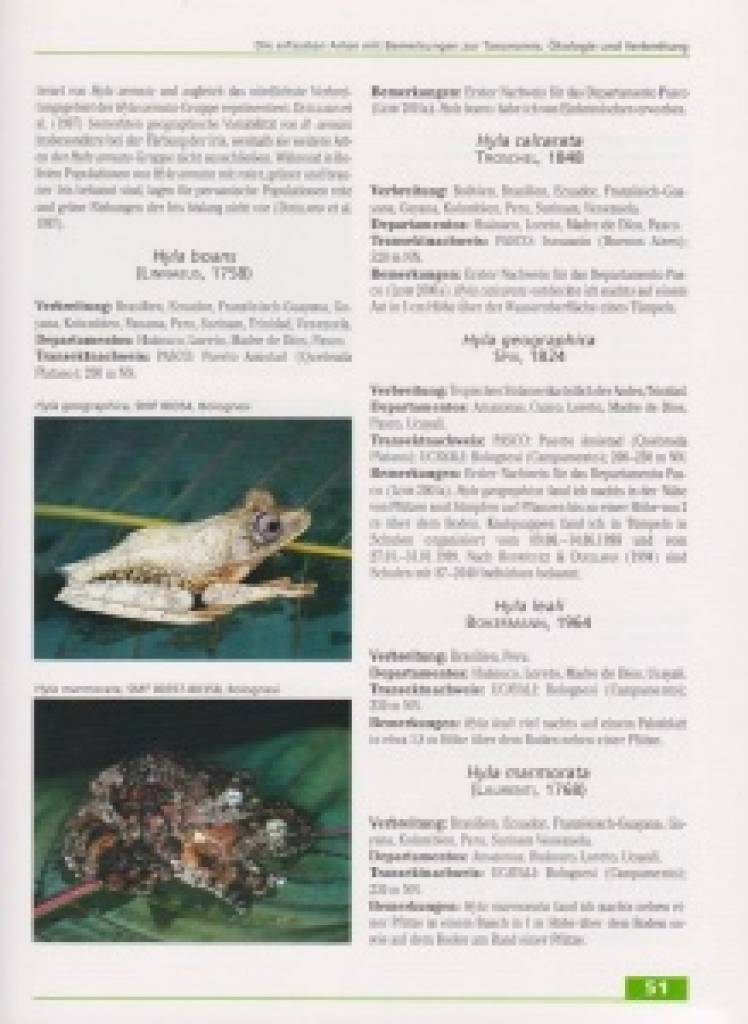 Amphibien und Reptilien in Peru